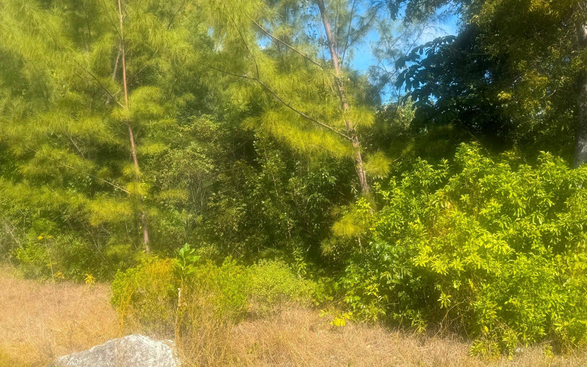 LEICESTER COUNTY Land Grand-Bahama-Freeport