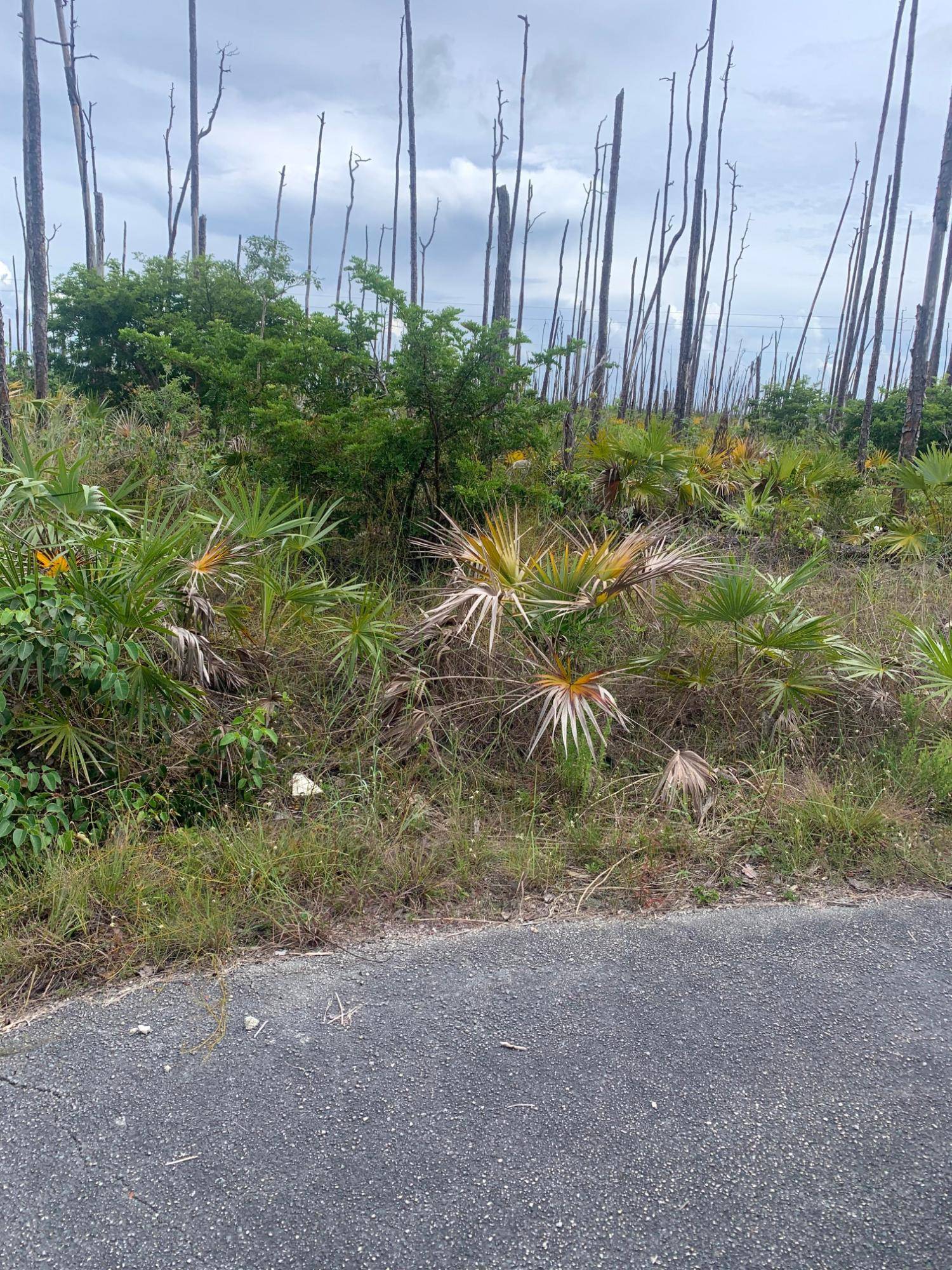 DURHAM CIRCLE Land Grand-Bahama-Freeport