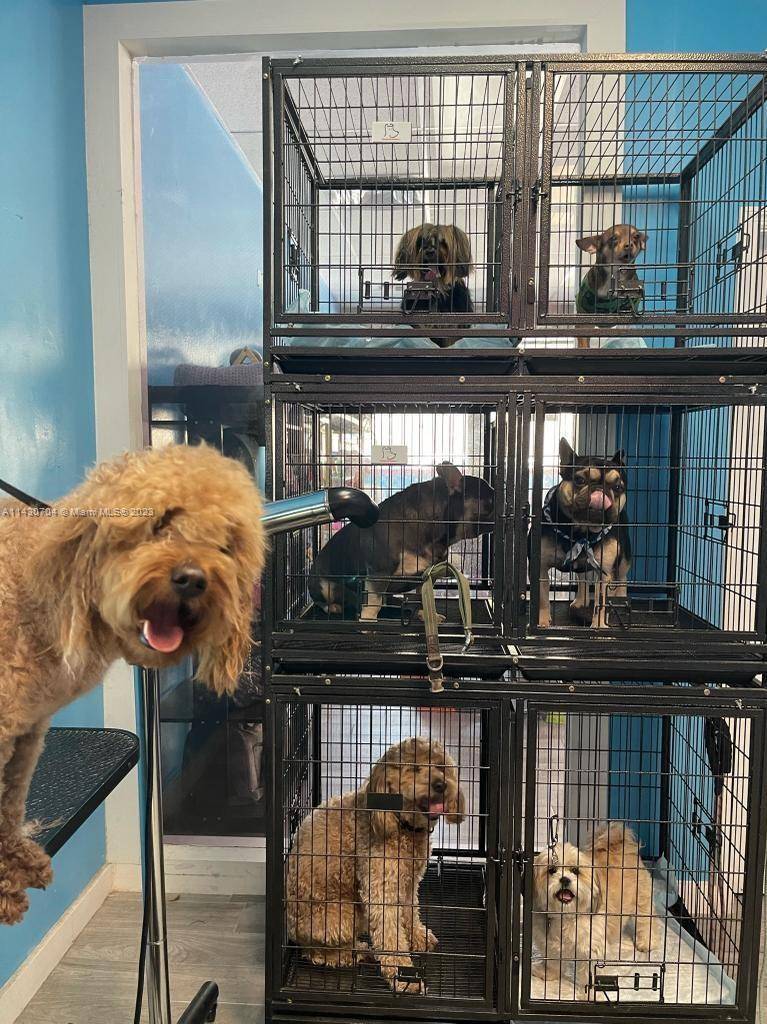 Opportunity to own a quality pet grooming and Pet Shop, loyal clients, exceptional location, totally equipped to provide exceptional full service grooming experience for pets.