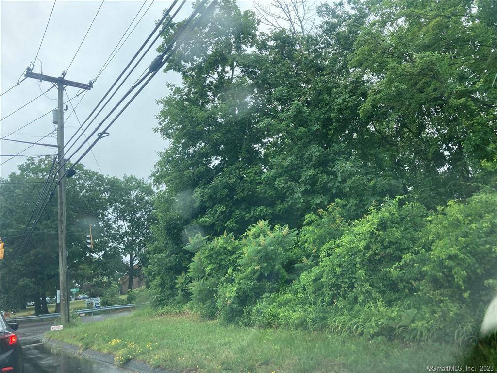 RAW LAND PARCEL CONSISTING OF 99 ACRES LOCATED ON TORRINGTON'S UPPER EAST SIDE.