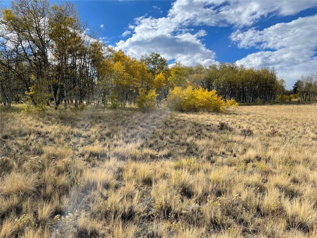 2 acre very buildable lot in Elkhorn Ranches.