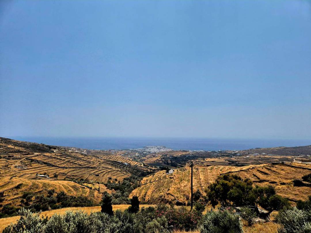 4,775 sq.m. Estate with Traditional Farmhouse and Dovecote – Just 4 Minutes from Tinos Town