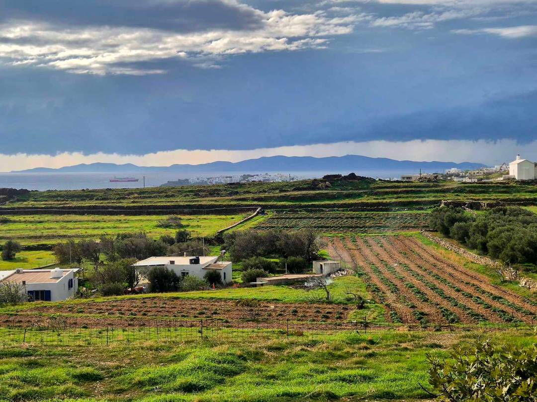 Sea View Plot in Tinos – Near Agios Fokas