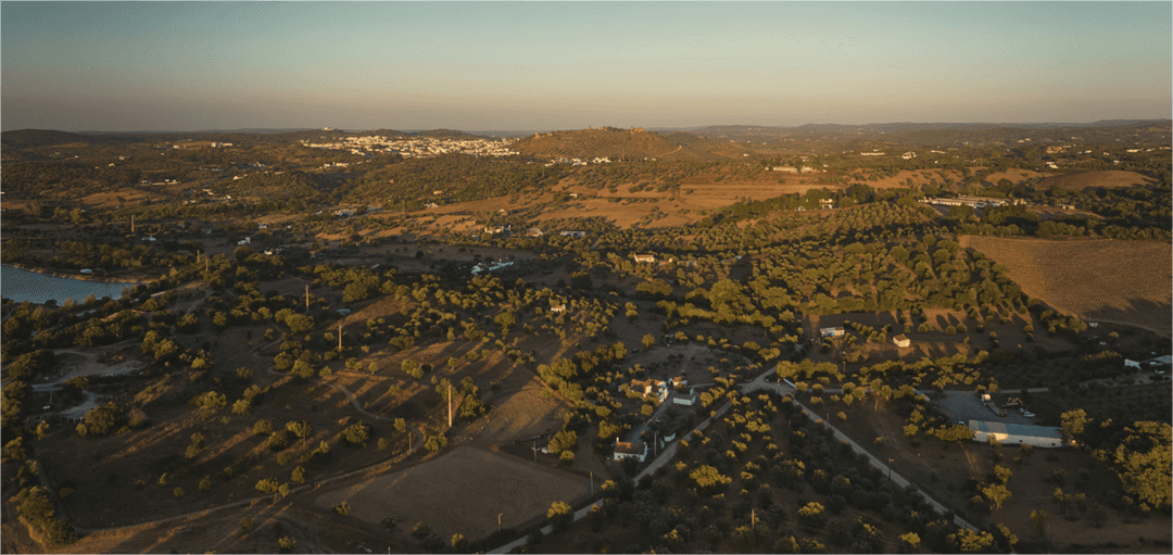 Castle view 30 ha - stunning plot of land | Possibility to build a 400 m2 villa | Heart of Alentejo |