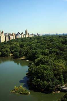 NO FEE ONE BED ON CPW! MINT ONE BED WITH PARK VIEWS!