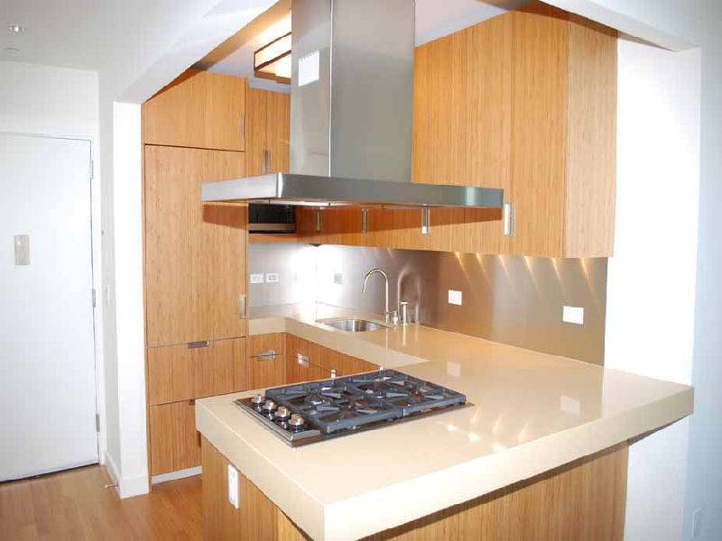 CONDO RENTAL  1BED/1BATH NEW CONSTRUCTION 1000 S/F FULL SERVICE BUILDING