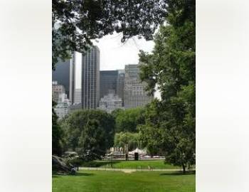 1 Bedroom Designer Unit In Prime New Tax Abated Manhattan Developement Close To Central Park