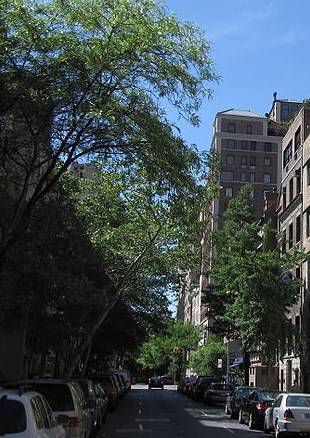 East 65th Street 1 Bedroom - Historic Lenox Hill
