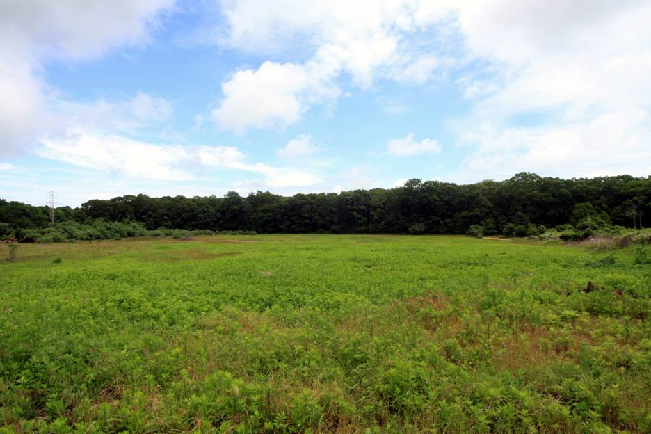 Best Priced! 78 Spring Close Hwy, 19+ Acres for Private Estate, Horse Farm, Working Farm Nr Village of East Hampton! One of Last Large Plots w/ Development Rights Has House and Barn