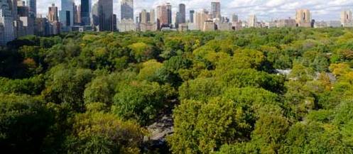 Absolutely Fabulous Two Bedroom with Central Park View  at Fifth Avenue.   