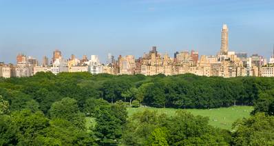 Gorgeous Beaux Arts Gem. Inspiring Central Park Views in  Prestigious Central Park West  Co-Op 