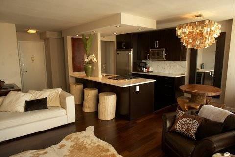 Fully-Furnished Gorgeous 1BR for Rent in Long Island City!!  Short-term or Long-term Options