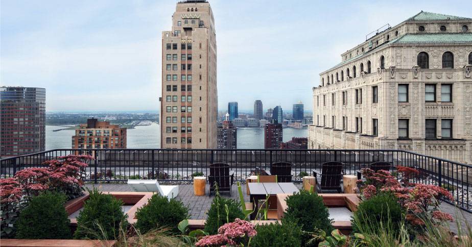 Newly Renovated- Open 1 Bedroom Apartment In the Financial District 