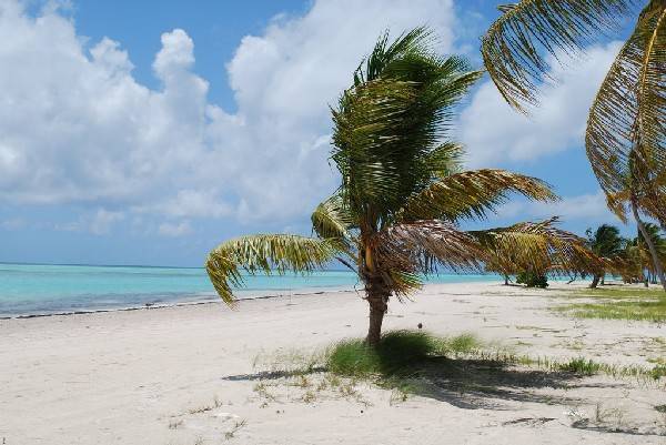 GOLF RIDGE LOT WITH OCEAN VIEWS located in the Cap Cana Project