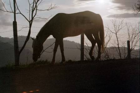 RANCHO TRANQUILO
