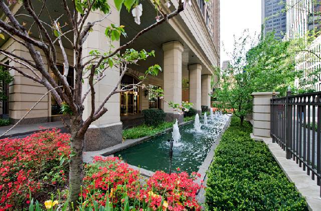 Stunning Split Two Bedroom / Two Bathroom in 5 Star Amenities Building!