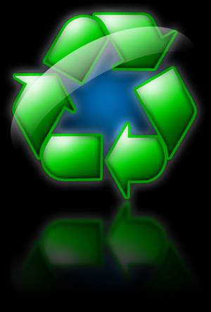 LONG ISLAND CITY GOES GREEN!  2BR/2BA CONDO - LOWEST COMMON CHARGES IN TOWN!