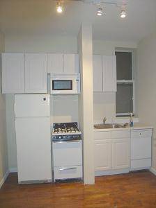 Sunny Newly Renovated 1 BDR in Greenwich Village! 