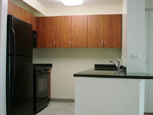 Two Bedroom Luxury Condo Rental 
