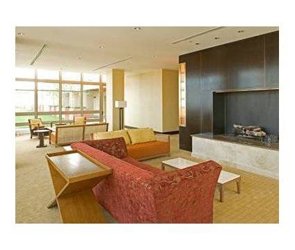 RARE RENTAL APARTMENT WITH FABULOUS CITY VIEWS!!