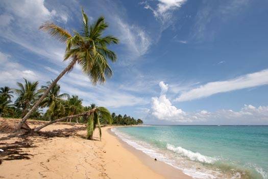 Piece of Paradise in Las Terrenas - Dominican Republic