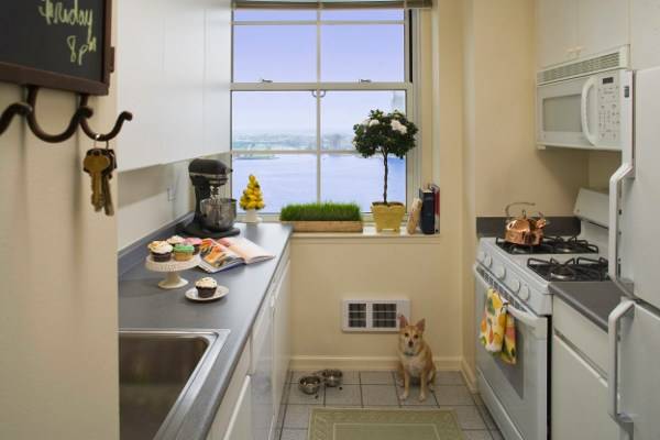 FIDI****ART DECO ONE BEDROOM****ON-SITE GOURMET FOOD STORE, ROOFTOP SUNDECK