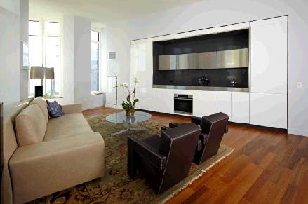 FINANCIAL DISTRICT- GEORGEOUS 1 BEDROOM 1 BATH IN A LUXURY CONDOMINIUM