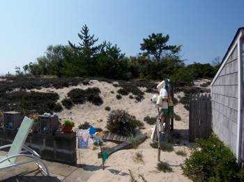 Sunsets over Dune Preserve