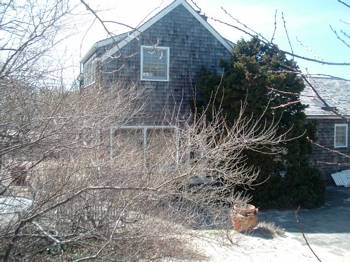 Amagansett Dunes