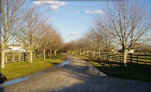 OVER 6700 SQ.FT HOME IN WATERMILL FOR SALE