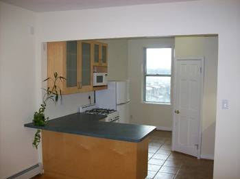 1 BEDROOM  1 Block from East River Renovated with Terrace 