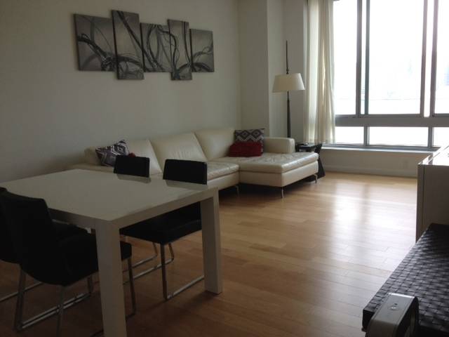THE VIEW - LIC 1 BEDROOM 1 BATH WITH INCREDIBLE MANHATTAN & EMPIRE STATE VIEWS