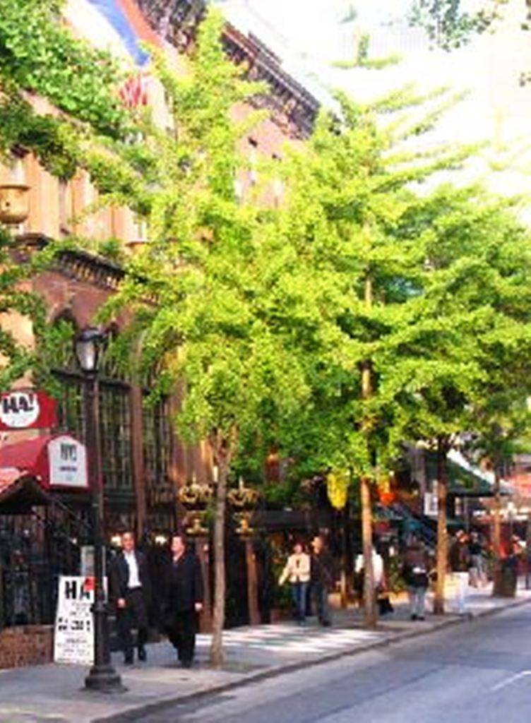 Captivating 2nd Floor Studio on Picturesque Tree Lined Block!