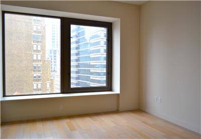 $2,500 Studio Financial District luxury building