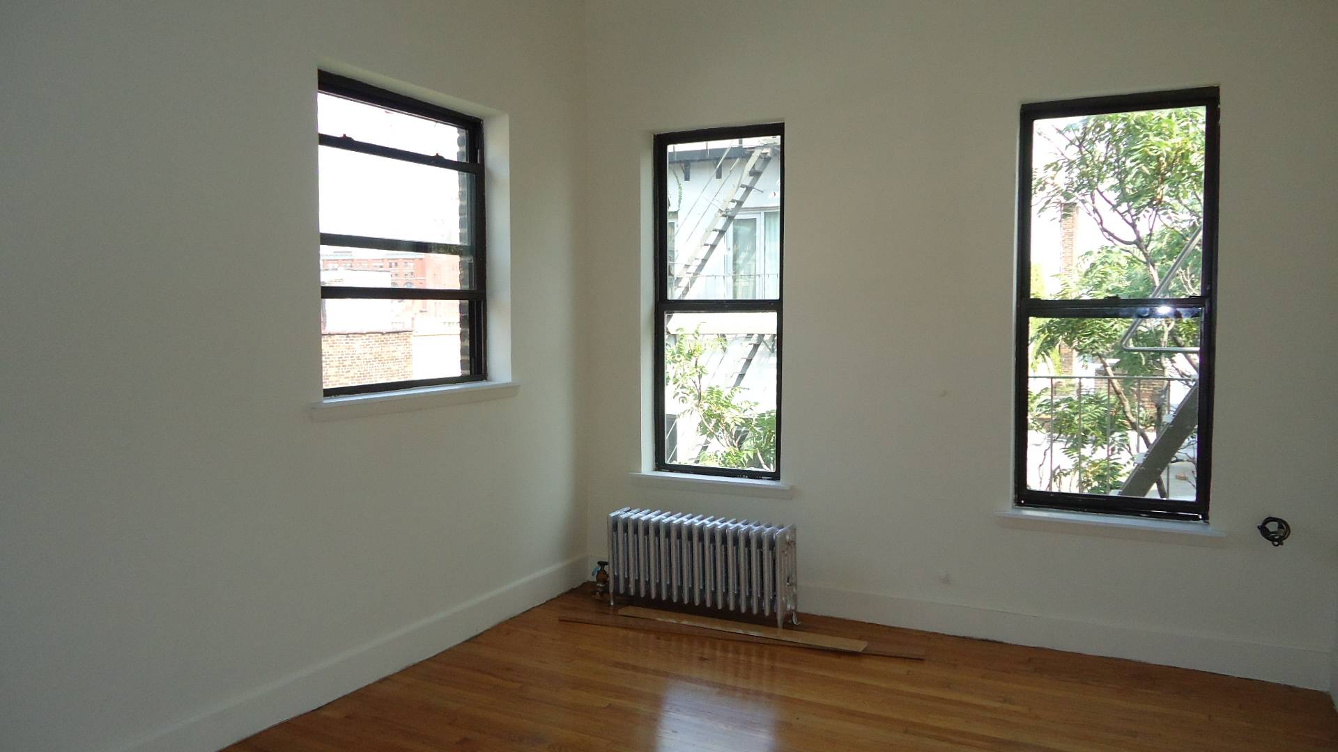 UNIQUE HI CEILINGS SUNNY*SPACIOUS PREWAR 1BR*DM/ELEVATOR*TREE LINE ST