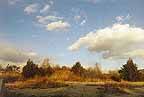 SAG HARBOR BUILDING LOT