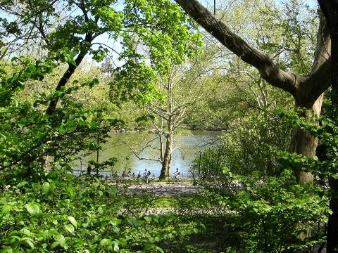 RARELY AVAILABLE ON CPW! CLASSIC SIX WITH PARK VIEWS!