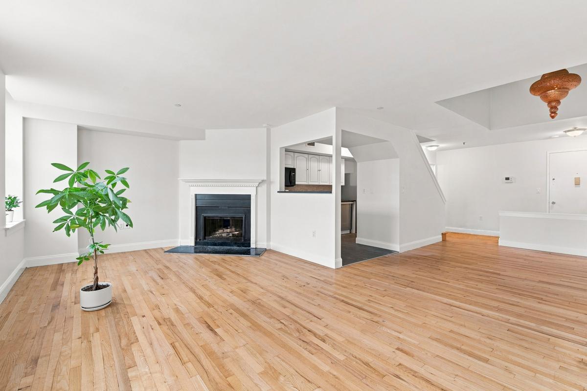 Living room + kitchen