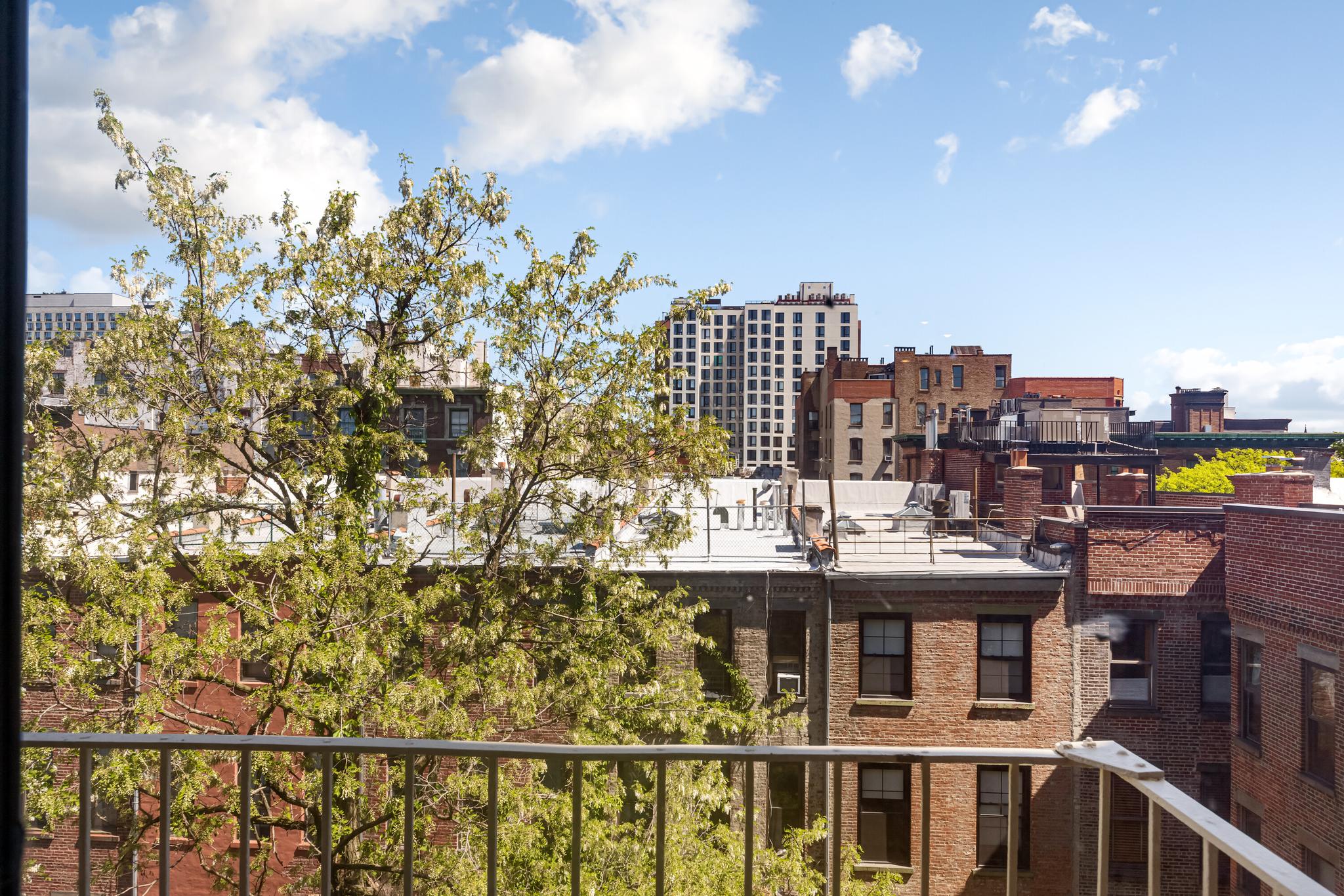 3 West 122nd Street 5-C Mt. Morris Park New York NY 10027
