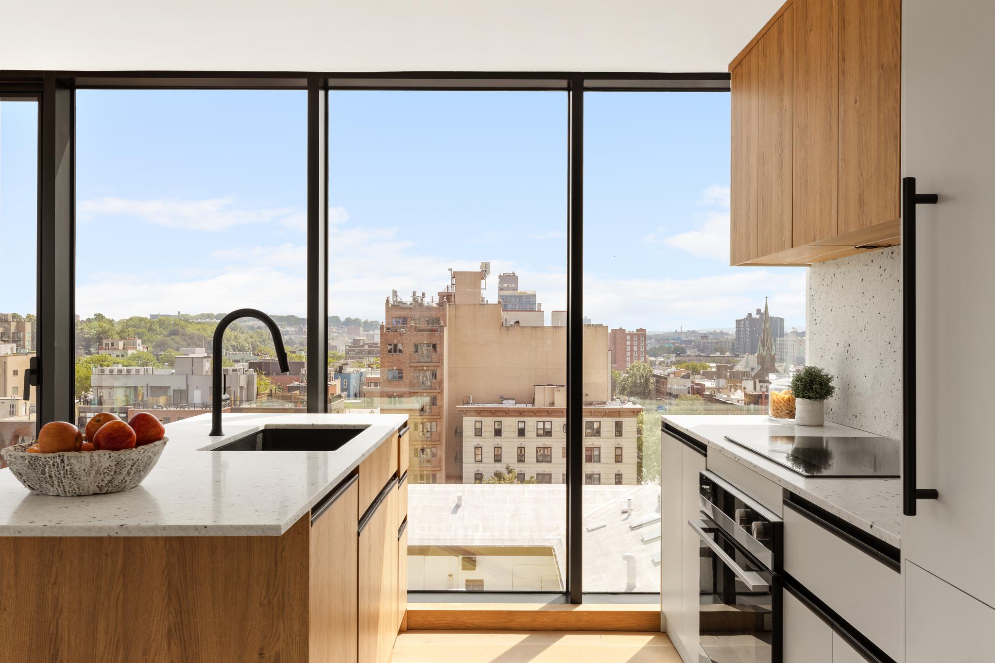 179 20th Street 3-B Greenwood Heights Brooklyn NY 11232