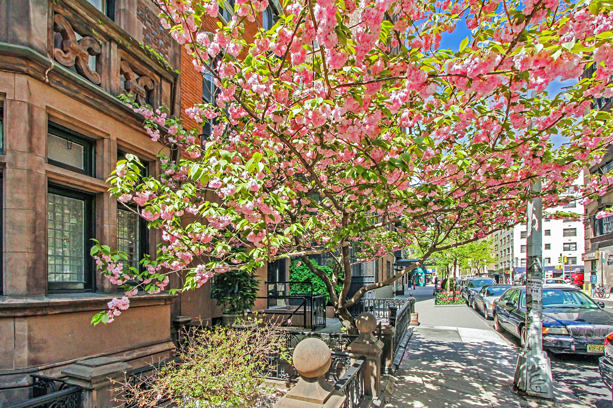 200 East 16th Street 4-B Gramercy Park New York NY 10003