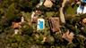 Aerial View of Villa Chiara