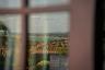 Beauty from every window