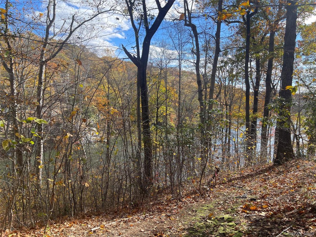 View of lake
