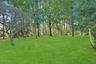 Totally private flat back and side yards