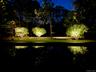 Yard at twilight featuring a yard