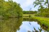 Pond