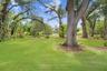 Lots of shaded backyard space, great for outdoor entertaining.