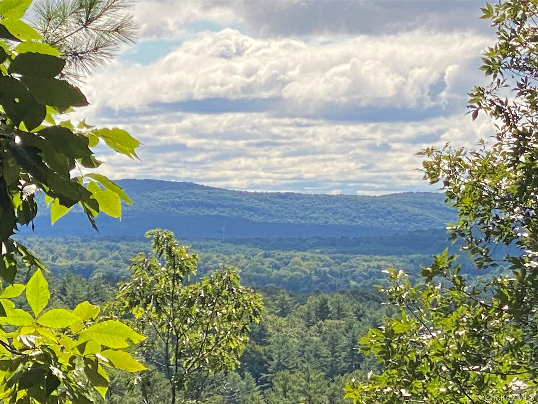 Mountain view featuring a forest