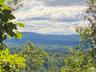 Mountain view featuring a forest